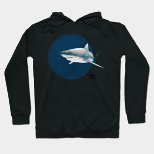 Scuba diving with white shark in deep blue Hoodie